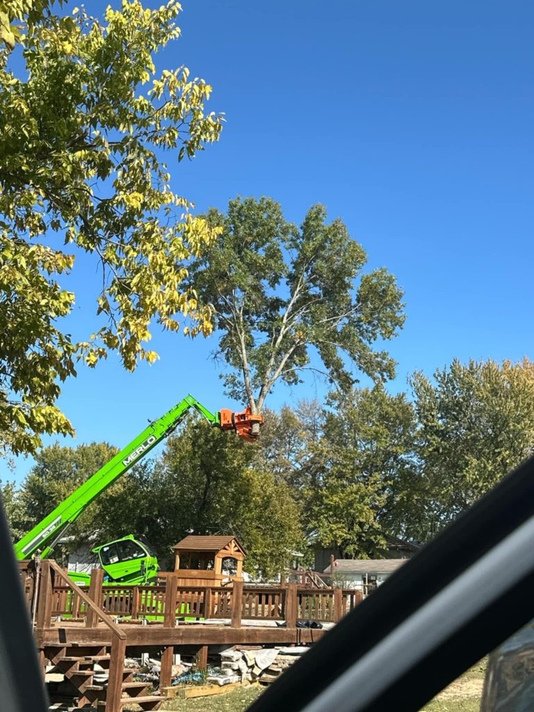 Tree Services in Johnson County