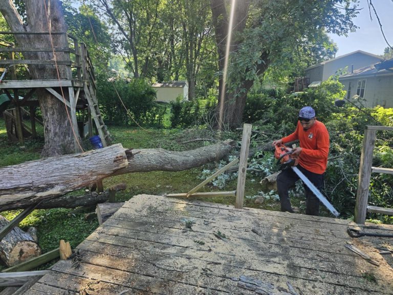 Tree Services in Overland Park