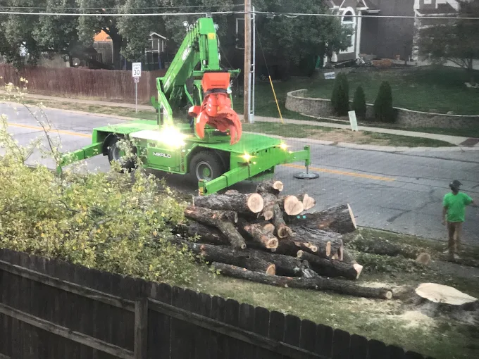 Tree Removal in Lenexa, KS