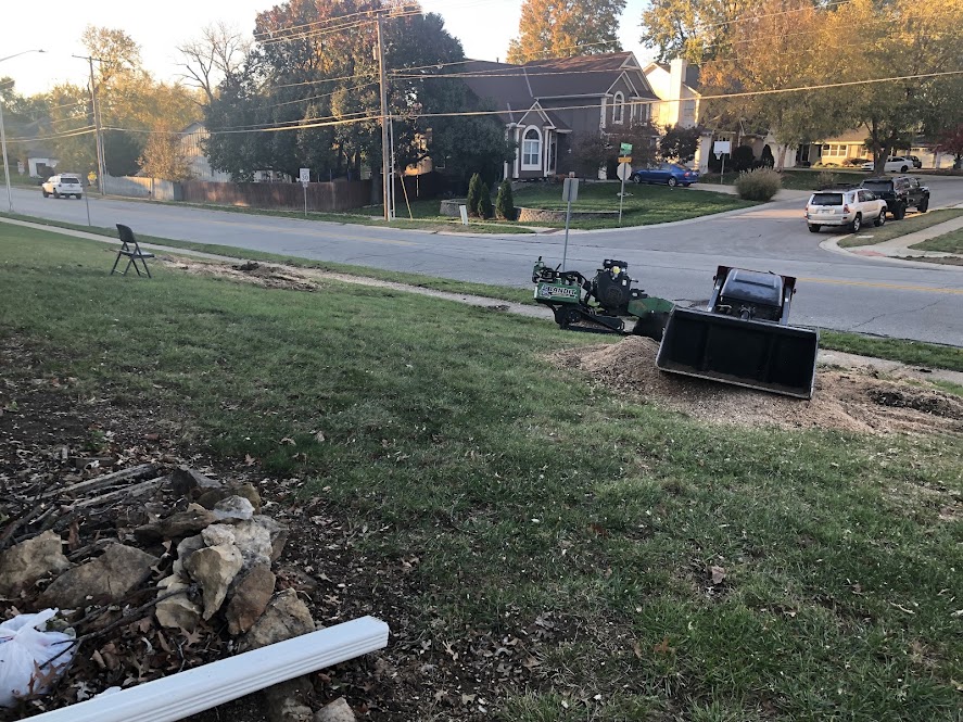 How Much Does Stump Grinding Cost in Olathe, KS?