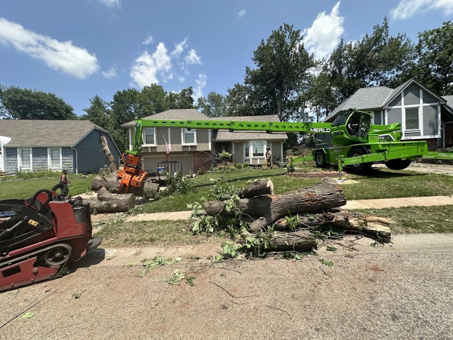 How Much Does Tree Removal Cost in Olathe, KS?
